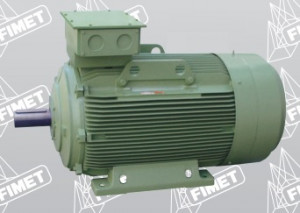 Motore elettrico trifase Elettrica 220V-380V FIMET Bra (CN) M355 L4